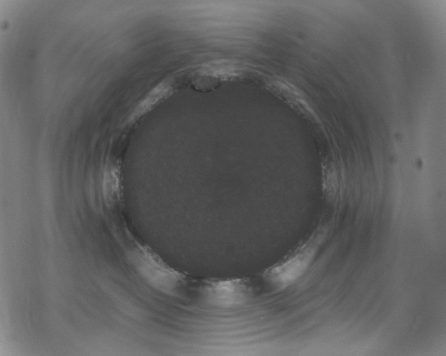 X0000072500382200607141135