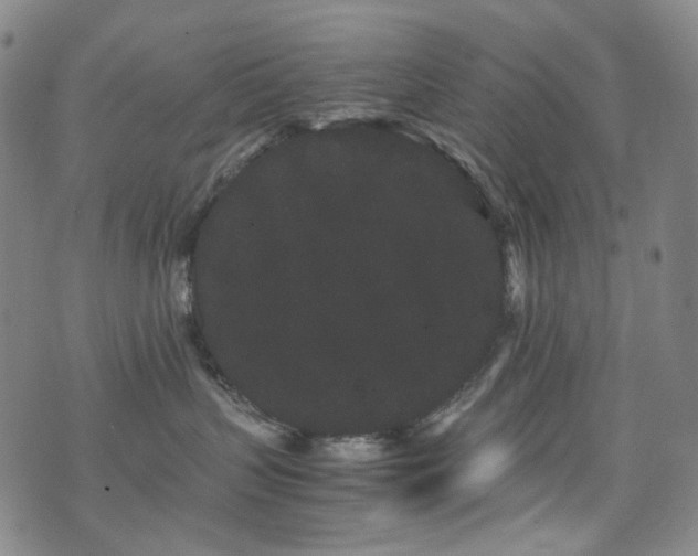 X0000072500383200607141136