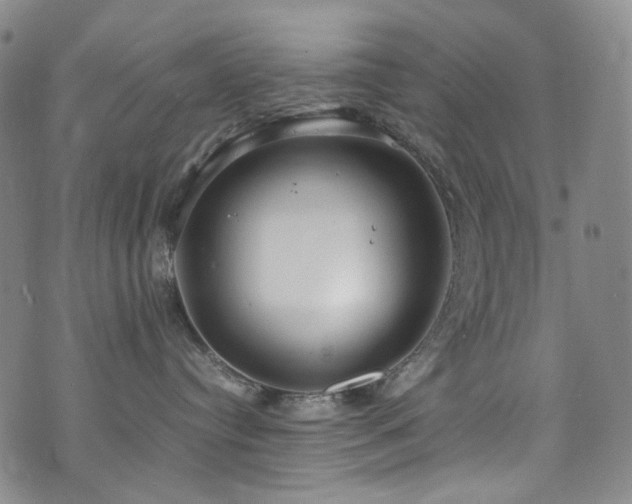 X0000072500384200607141136