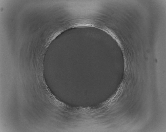 X0000072500385200607141135