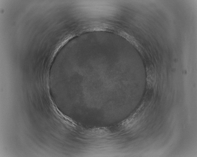 X0000072500386200607141135