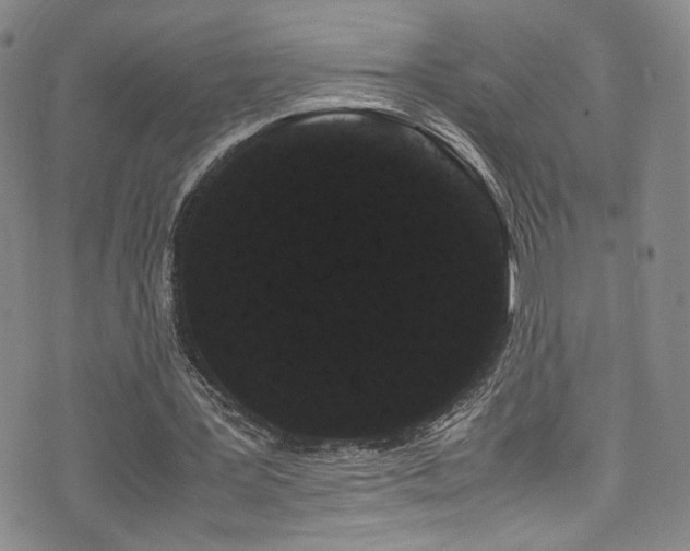 X0000072500387200607141135