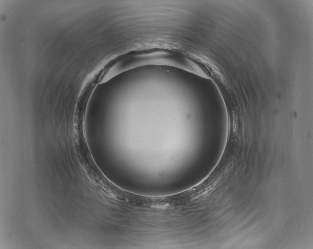 X0000072500388200607141135