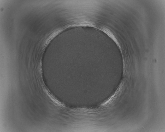 X0000072500389200607141135