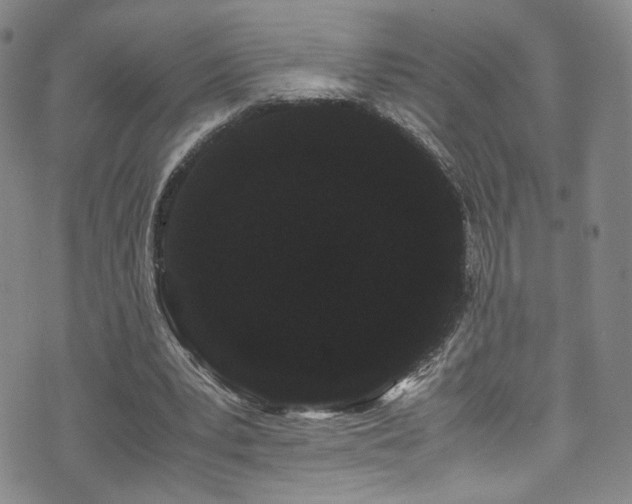 X0000072500391200607141135