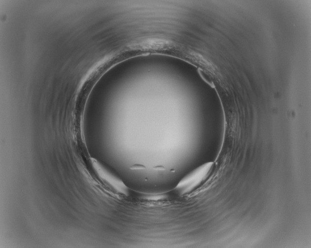 X0000072500392200607141135