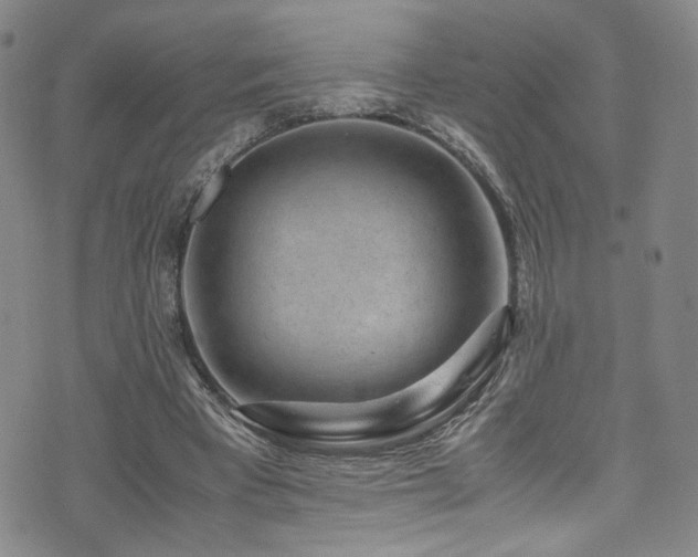 X0000072500393200607141135