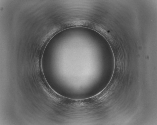 X0000072500394200607141135