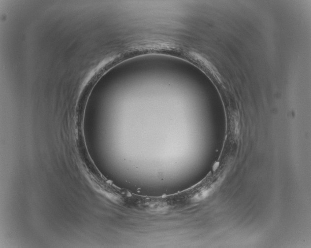 X0000072500395200607141135