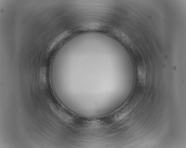 X0000072500396200607141135