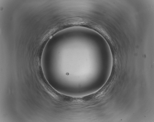 X0000072500397200607141135