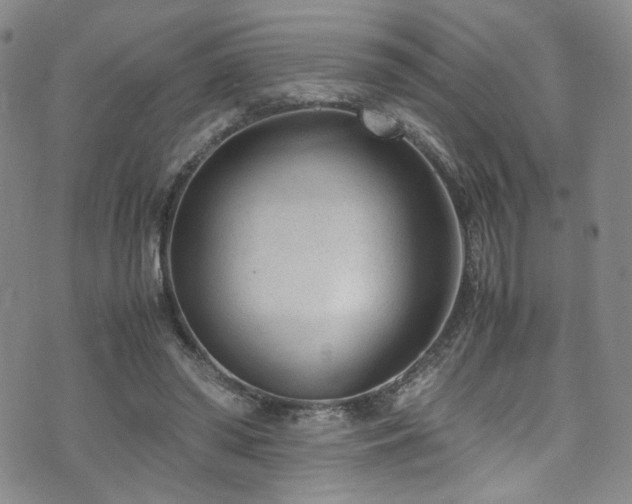 X0000072500398200607141135