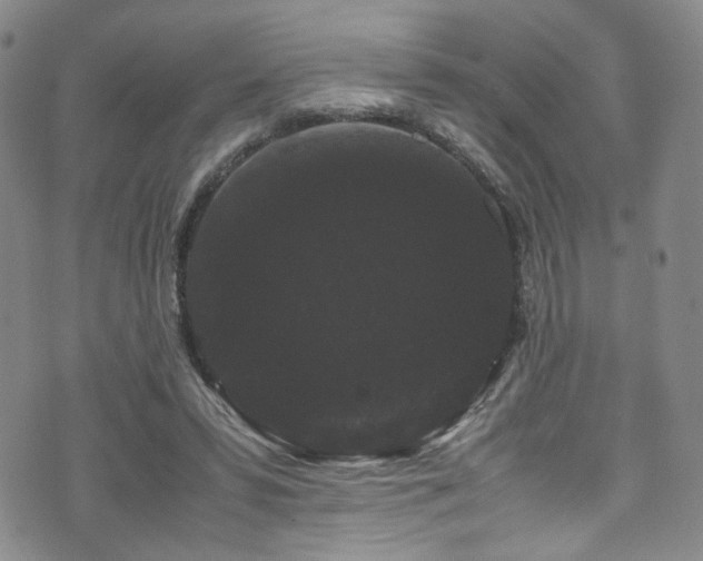 X0000072500399200607141135