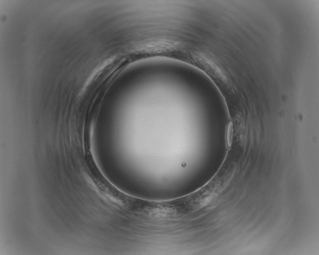 X0000072500400200607141135