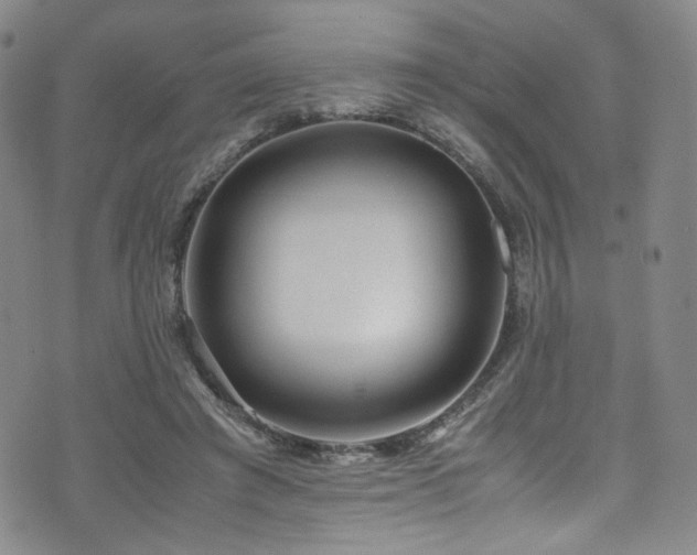 X0000072500401200607141135