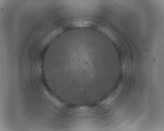 X0000072500402200607141134