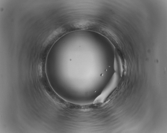 X0000072500404200607141134