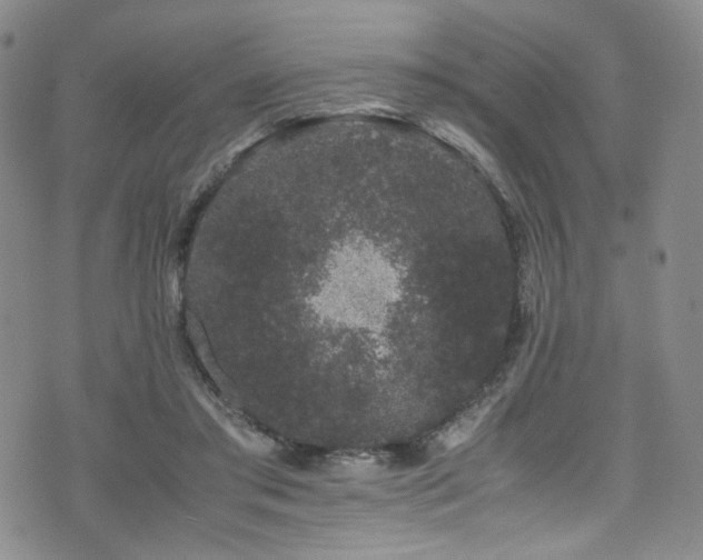 X0000072500405200607141134