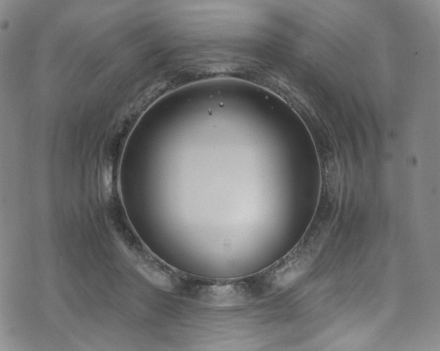 X0000072500406200607141134