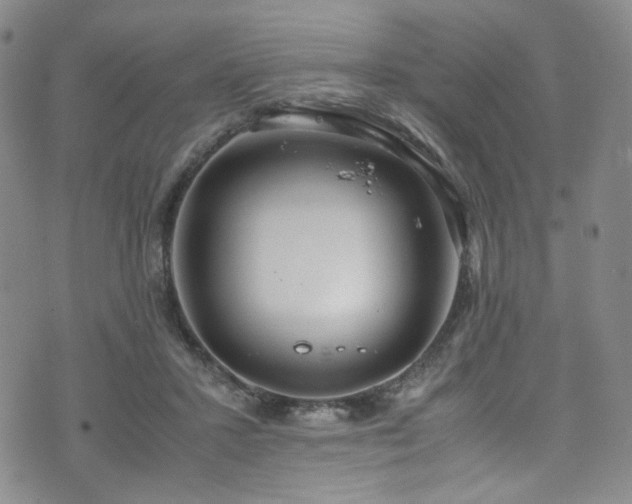 X0000072500407200607141134