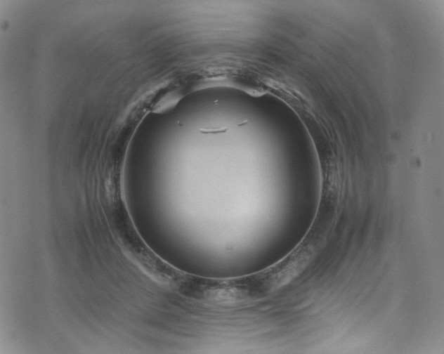 X0000072500408200607141134