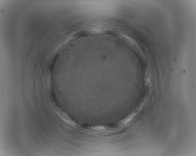 X0000072500409200607141134