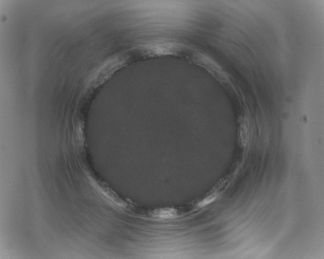 X0000072500410200607141134