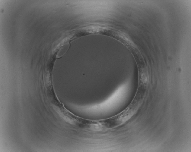 X0000072500411200607141134