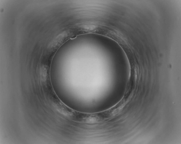 X0000072500412200607141134