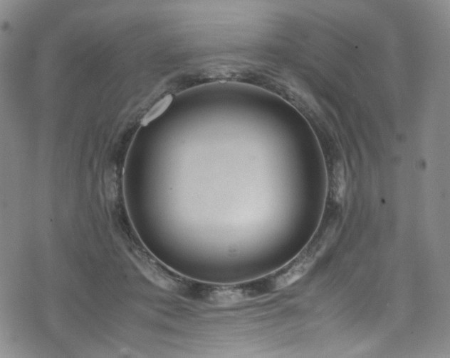 X0000072500413200607141134