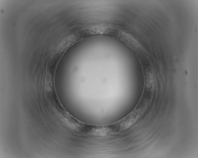 X0000072500414200607141134