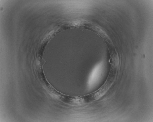 X0000072500415200607141134