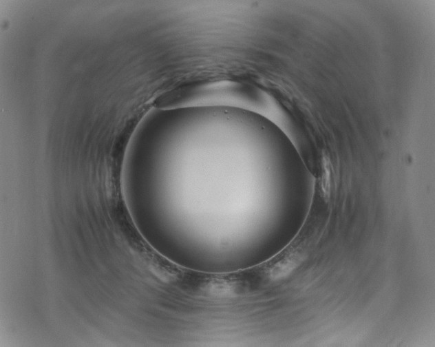 X0000072500416200607141134