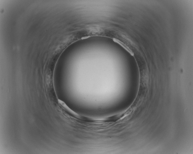 X0000072500417200607141134