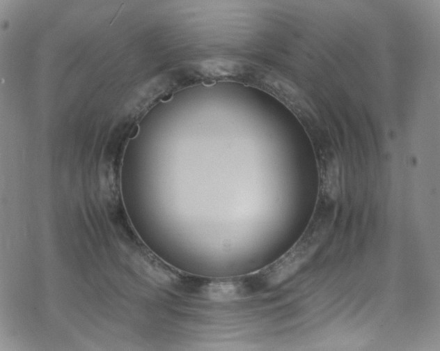 X0000072500418200607141134