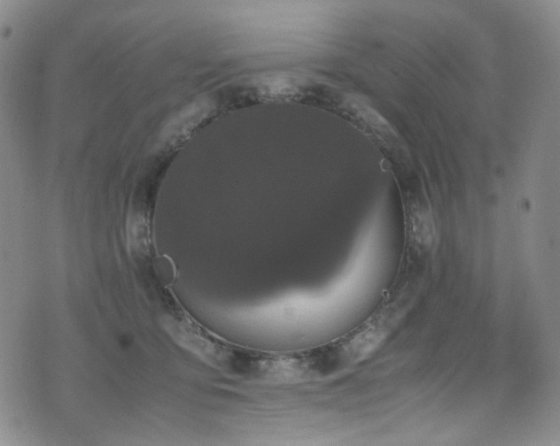 X0000072500419200607141134