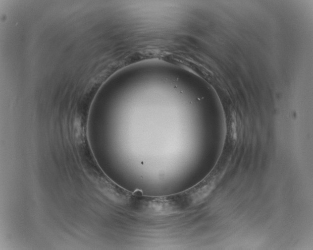 X0000072500420200607141134