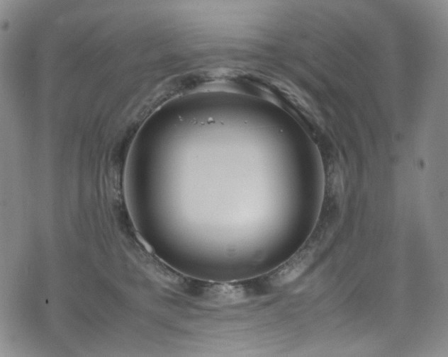 X0000072500421200607141134