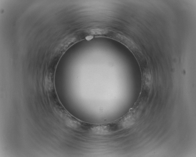 X0000072500422200607141134