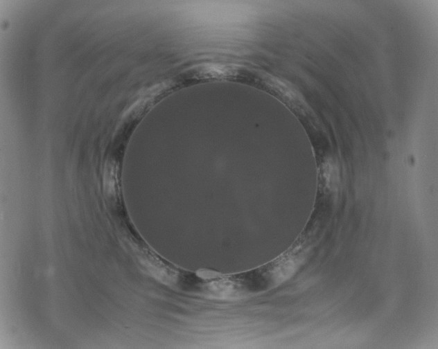 X0000072500423200607141134