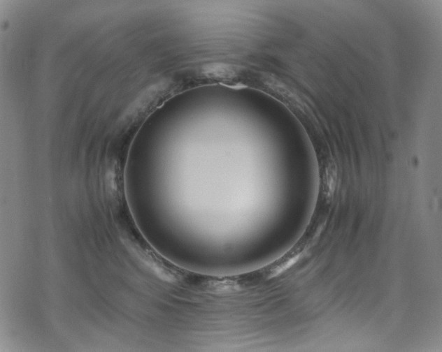 X0000072500424200607141134