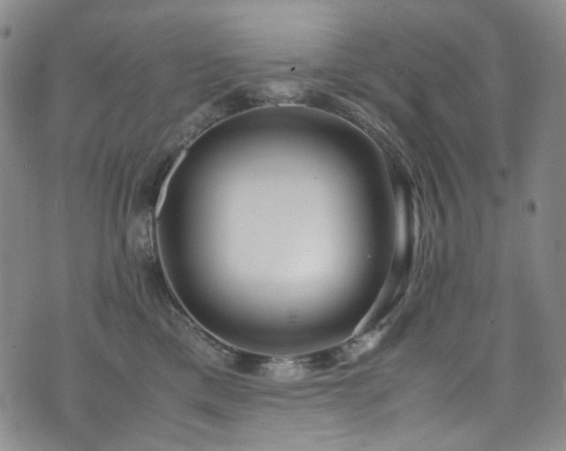 X0000072500425200607141134