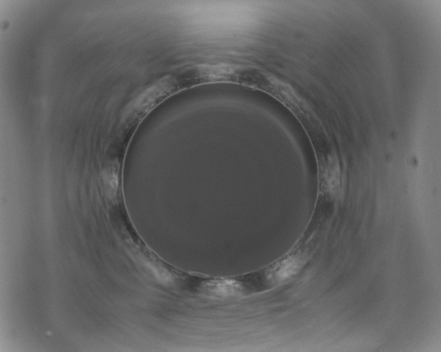 X0000072500427200607141134