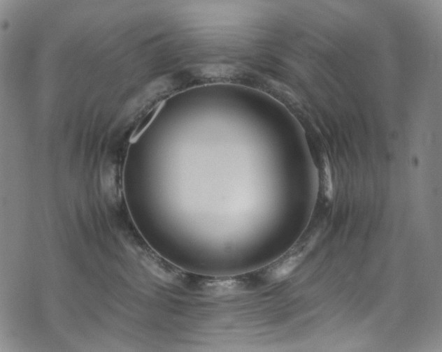 X0000072500428200607141134