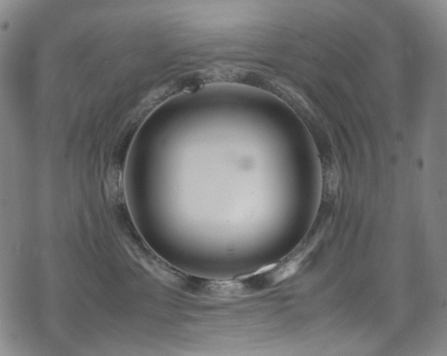 X0000072500429200607141134