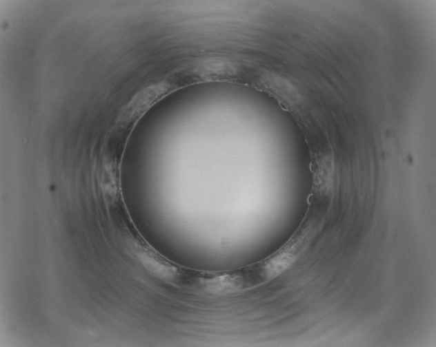 X0000072500430200607141134