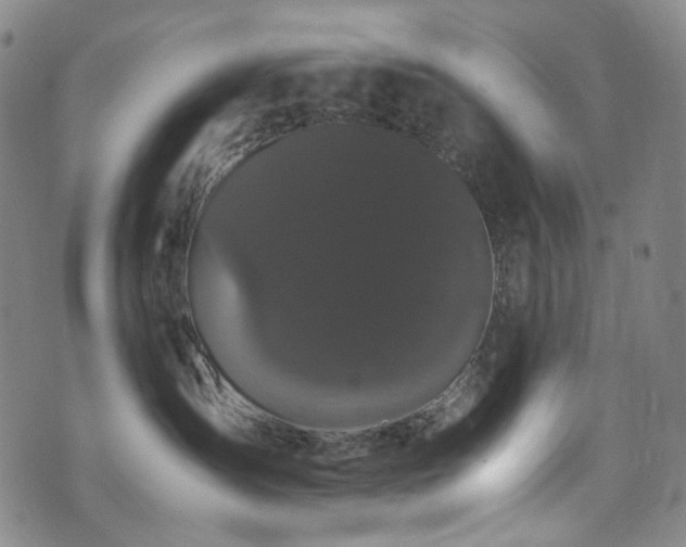 X0000072500431200607141134