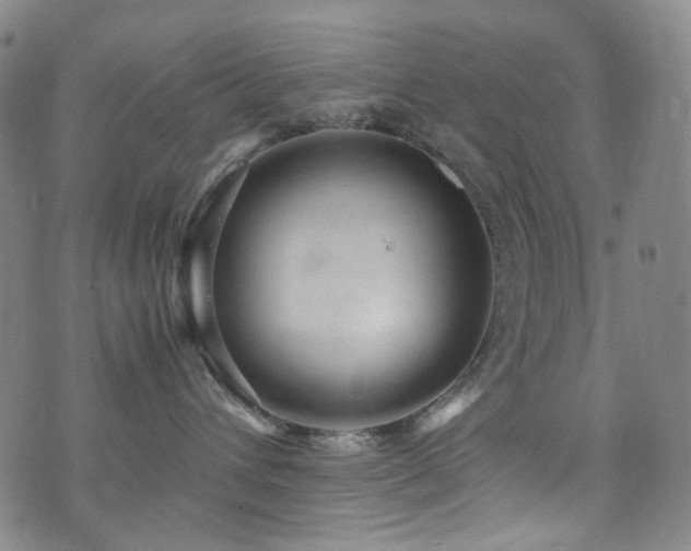 X0000072500432200607141134