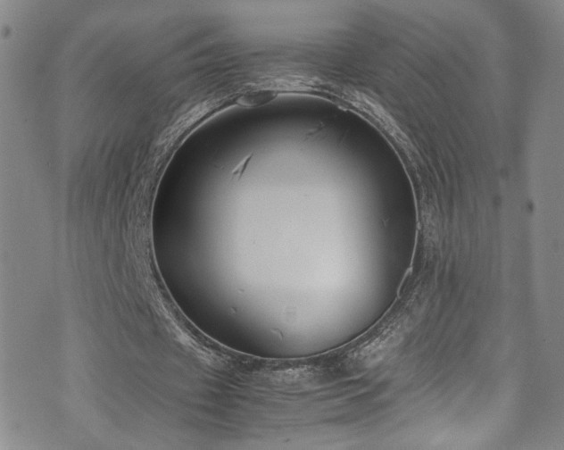 X0000072500433200607141133