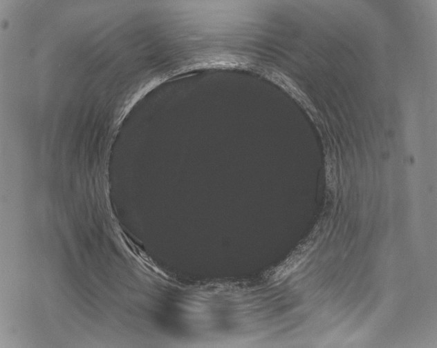 X0000072500434200607141133